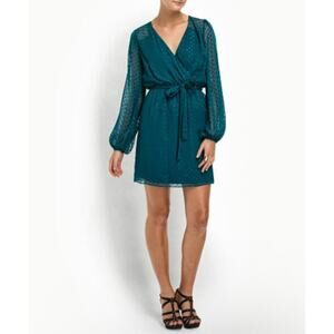 Erin Fetherston Size 12 Faux Wrap Dress Green Swiss Dot Tie Waist Long Sleeves